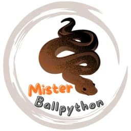 Mister Ballpython