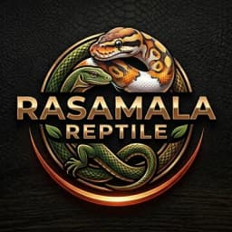 Rasamala Reptile
